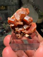 Vanadineit cluster, Ophalen of Verzenden