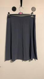 Margriet Nannings rok L, Kleding | Dames, Ophalen of Verzenden, Zo goed als nieuw, Grijs, Boven de knie