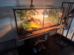 Terrarium met rattenslang, Dieren en Toebehoren, Ophalen, Zo goed als nieuw