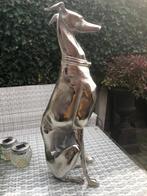 statig honden beeld whippet hazewindhond greyhound, Ophalen of Verzenden