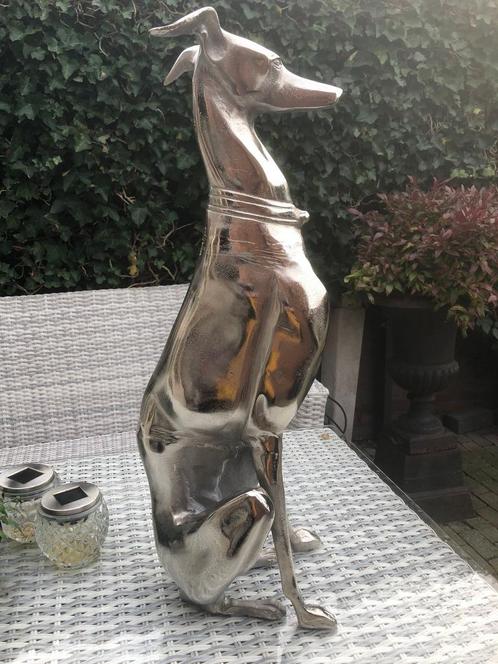 statig honden beeld whippet hazewindhond greyhound, Antiek en Kunst, Kunst | Beelden en Houtsnijwerken, Ophalen of Verzenden