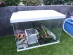 Aquarium superfisch, Ophalen, Zo goed als nieuw, Leeg aquarium