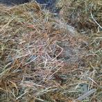 Te koop hooi, Dieren en Toebehoren, Dierenvoeding, Ophalen, Vee