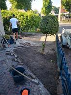 Betaalbare tuinman aangeboden regio schagen, Diensten en Vakmensen, Tuinmannen en Stratenmakers