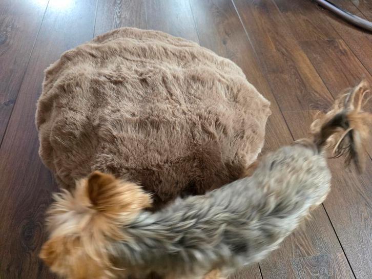 Kattenbed, Dieren en Toebehoren, Katten-accessoires, Nieuw, Ophalen of Verzenden