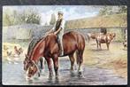 Paarden drinkend op de boerderij met kippen en koeien, Verzamelen, Ansichtkaarten | Dieren, Paard, Ongelopen, Voor 1920, Verzenden