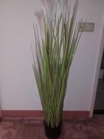 Kunstplant Rietgras met pluimen., Ophalen, Gebruikt, Binnen