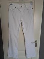 Broek Studio Anneloes Flair maat : M   Kleur : Creme, Maat 38/40 (M), Studio Anneloes, Beige, Nieuw