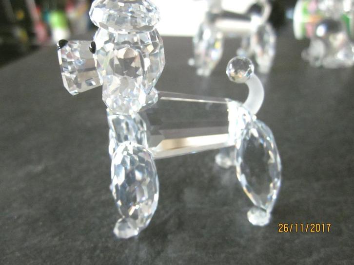 Swarovski speciale poedel met mate staart, incl. doos & cert, Verzamelen, Swarovski, Nieuw, Figuurtje, Ophalen of Verzenden