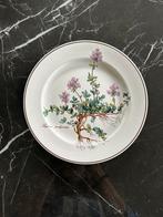 Botanica Villeroy en Boch ontbijtborden, Ophalen of Verzenden
