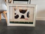 Trademark Fine Art White Cow by Daniel Patrick Kessler, Ophalen, Nieuw