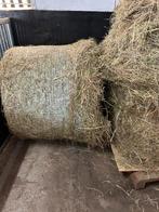 Midi rollen weidehooi, Dieren en Toebehoren, Dierenvoeding, Ophalen, Vee