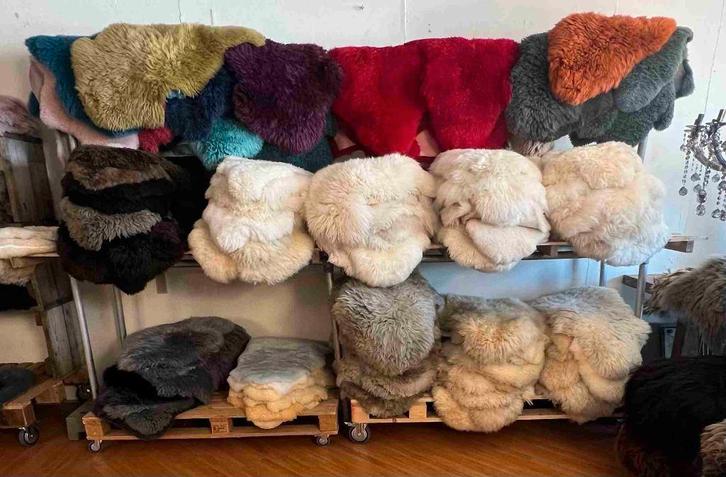 Originele schapenvachten 2 stuks 35 euro, Huis en Inrichting, Woonaccessoires | Plaids en Woondekens, Gebruikt, Ophalen of Verzenden