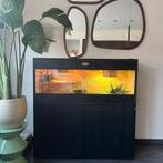 Osb terrarium RepHouSZ. Ook maatwerk, Dieren en Toebehoren, Reptielen en Amfibieën | Toebehoren, Ophalen of Verzenden, Nieuw, Terrarium of Paludarium