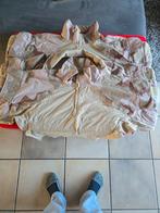 Diverse airsoft kleding, Ophalen of Verzenden