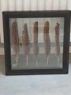 Glazen wanddecoratie/schilderij met veren. HK Living., Huis en Inrichting, Ophalen of Verzenden, Nieuw