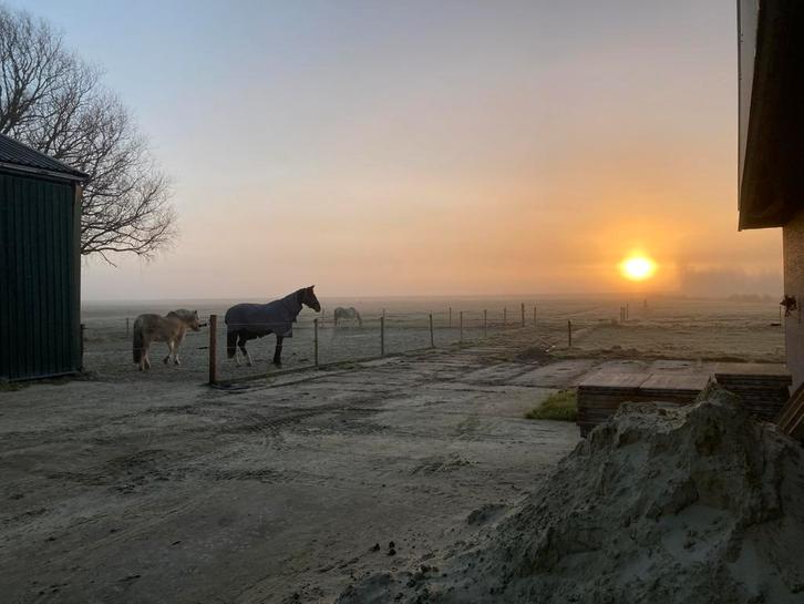 Stalling aangeboden, Dieren en Toebehoren, Stalling en Weidegang, Stalling, 1 paard of pony
