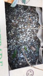 Grind kiezelstenen per 20 liter kilo 2 euro, Tuin en Terras, Grind, Keien en Split, Ophalen