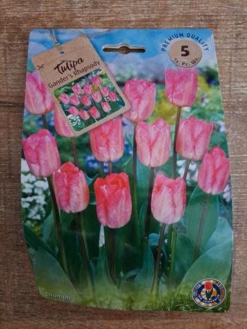 Tulpenbollen - Nieuw Zakje (5 stuks) beschikbaar voor biedingen