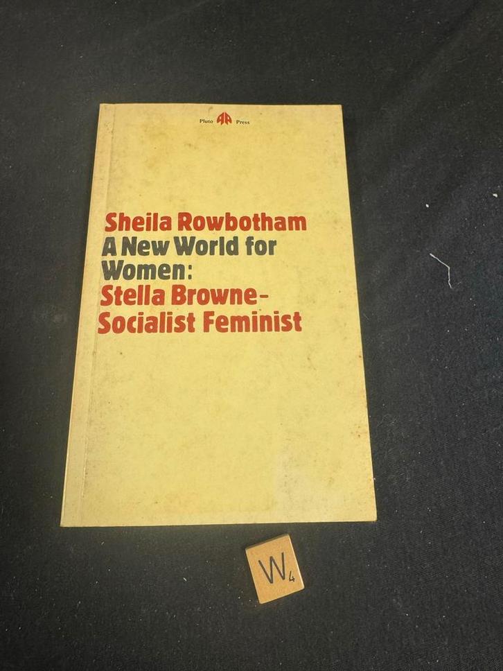 A New World for Women - Sheila Rowbotham, Boeken, Politiek en Maatschappij, Gelezen, Maatschappij en Samenleving, Wereld, Ophalen of Verzenden