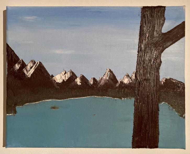 Schildersdoek, canvas, Hobby en Vrije tijd, Schilderen, Gebruikt, Doek, Ophalen