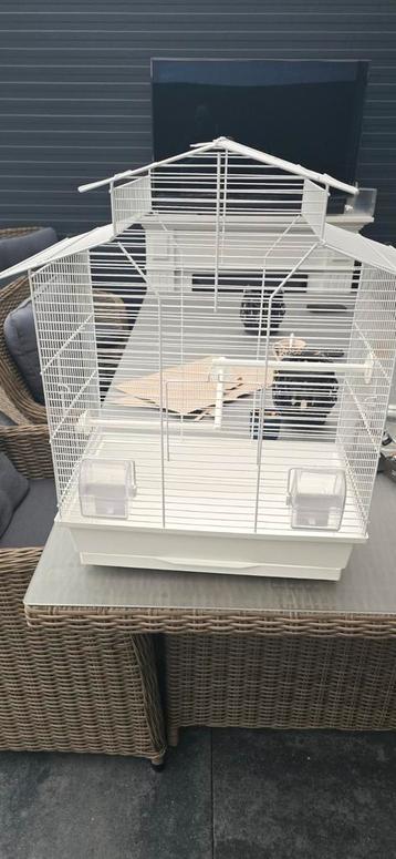 Vogelkooi zgan beschikbaar voor biedingen