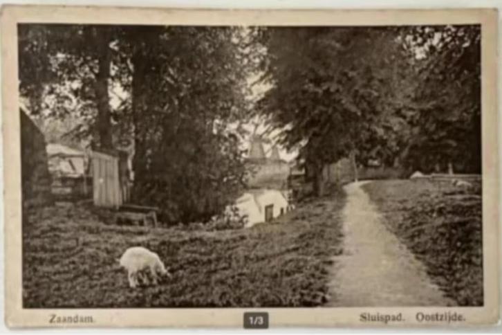 Oude Briefkaart Zaandam - Sluispad Oostzijde (1918), Verzamelen, Ansichtkaarten | Nederland, Gelopen, Noord-Holland, Voor 1920