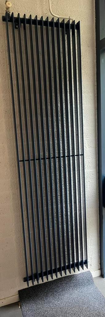 Blauwe Design Radiator - Thermic beschikbaar voor biedingen