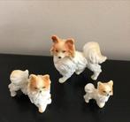 Papillon hondjes set van drie, Ophalen of Verzenden, Zo goed als nieuw, Beeldje of Figuurtje