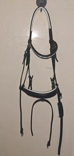 Hoofdstel maat cob, Dieren en Toebehoren, Paarden en Pony's | Hoofdstellen en Tuigage, Ophalen of Verzenden, Nieuw, Dressuur