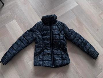 Mooie Reset winterjas panter print maat 36 kort model beschikbaar voor biedingen