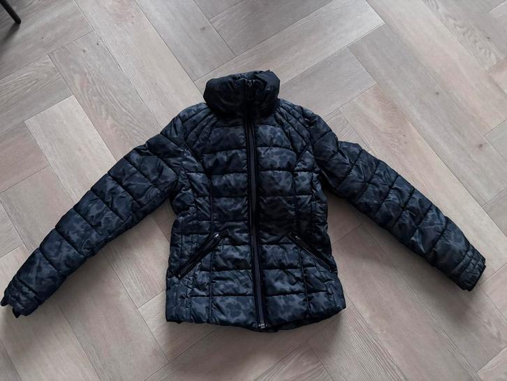 Mooie Reset winterjas panter print maat 36 kort model, Kleding | Dames, Jassen | Winter, Zo goed als nieuw, Maat 36 (S), Zwart