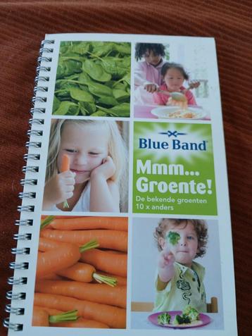 Bleu band kookboek beschikbaar voor biedingen