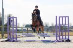 Zadelmak maken & doorrijden van paarden en pony’s – Nieuw-Ve, Diensten en Vakmensen, Dieren | Paarden | Verzorging, Oppas en Les