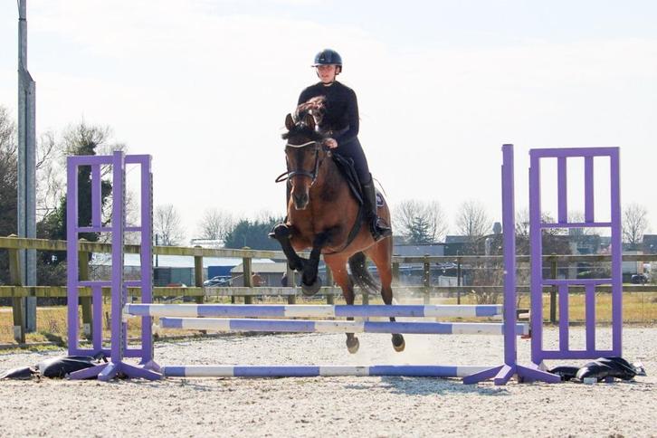Zadelmak maken & doorrijden van paarden en pony’s – Nieuw-Ve, Diensten en Vakmensen, Dieren | Paarden | Verzorging, Oppas en Les
