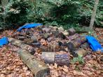 Dennenhout ongekloofd, Tuin en Terras, Haardhout, 3 tot 6 m³, Ophalen, Overige houtsoorten, Blokken