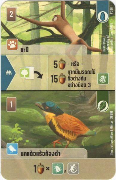 GEZOCHT: Forest shuffle promo kaarten, Hobby en Vrije tijd, Gezelschapsspellen | Overige, Een of twee spelers, Drie of vier spelers