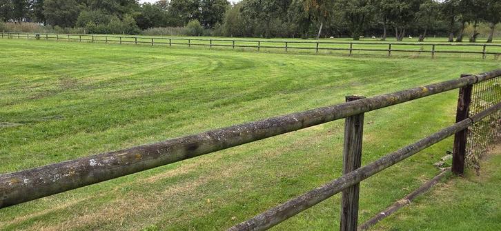 Houten hekwerk, Dieren en Toebehoren, Paarden en Pony's | Overige Paardenspullen, Gebruikt, Ophalen