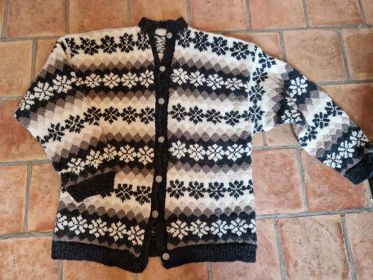 Noorse wollen vest XXL - Zo goed als nieuw!, Kleding | Dames, Truien en Vesten, Zo goed als nieuw, Maat 46/48 (XL) of groter, Bruin