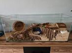 Terrarium geschikt voor kleine knaagdieren, Dieren en Toebehoren, Ophalen, Zo goed als nieuw