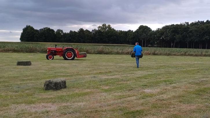 Hooipakjes te koop, Dieren en Toebehoren, Dierenvoeding, Ophalen of Verzenden