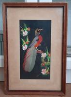 Vogelschilderij met echte veren, Antiek en Kunst, Kunst | Schilderijen | Klassiek, Ophalen of Verzenden