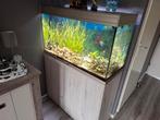 aquarium, Dieren en Toebehoren, Vissen | Aquaria en Toebehoren, Ophalen, Gebruikt, Gevuld zoetwateraquarium
