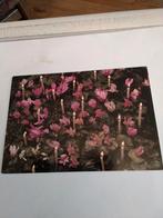 FEESTDAGEN.  ROB CHRISPIJN. VLEDDERVEEN, Verzamelen, Ophalen of Verzenden