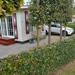 TE KOOP PRACHTIG CHALET ZEELAND!!, Caravans en Kamperen, Stacaravans, Tot en met 5