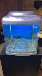 Superfish aqua 40, Dieren en Toebehoren, Vissen | Aquaria en Toebehoren, Ophalen, Zo goed als nieuw, Leeg aquarium