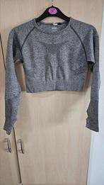 AYBL lange mouwen sporttop in maat M, Kleding | Dames, Maat 38/40 (M), AYBL, Verzenden, Grijs