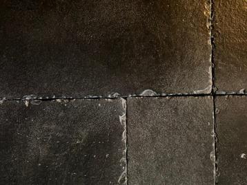 AKTIE DEZE WEEK! BOURGONDISCHE DALLEN BOURGOGNE NOIR beschikbaar voor biedingen