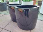 planten pot ovaal glans steen, Ophalen, Varens