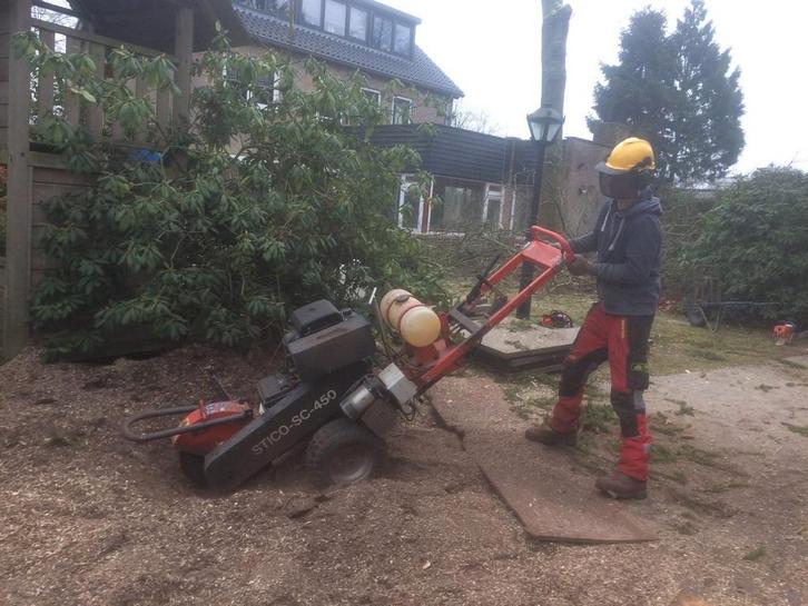 Stronkenfrees, Tuin en Terras, Overige Tuin en Terras, Gebruikt, Ophalen of Verzenden